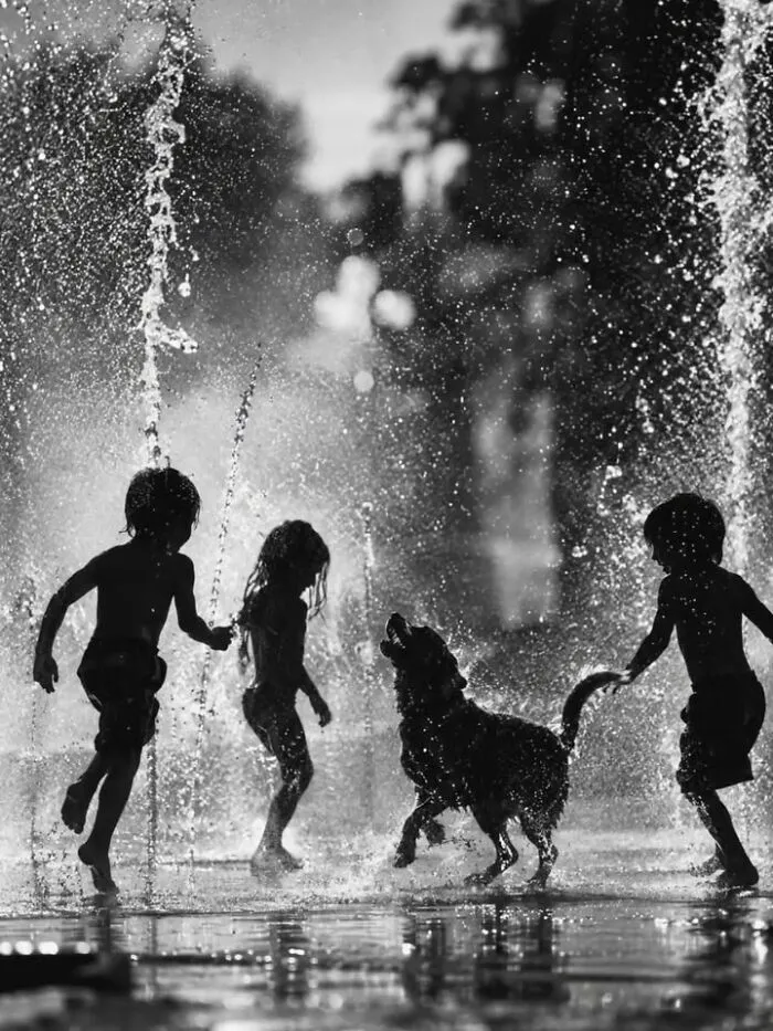 Silhouettes of children and a dog playing in a water fountain, a perfectly timed and joyful moment