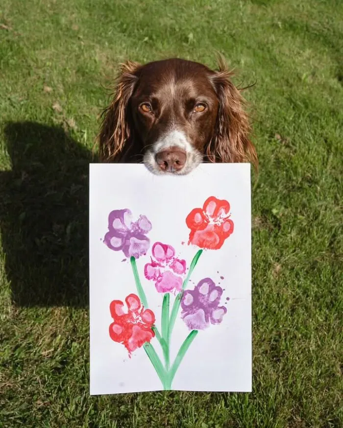 A brown dog holding a painting with colorful paw prints, one of many creative dog and cat photos