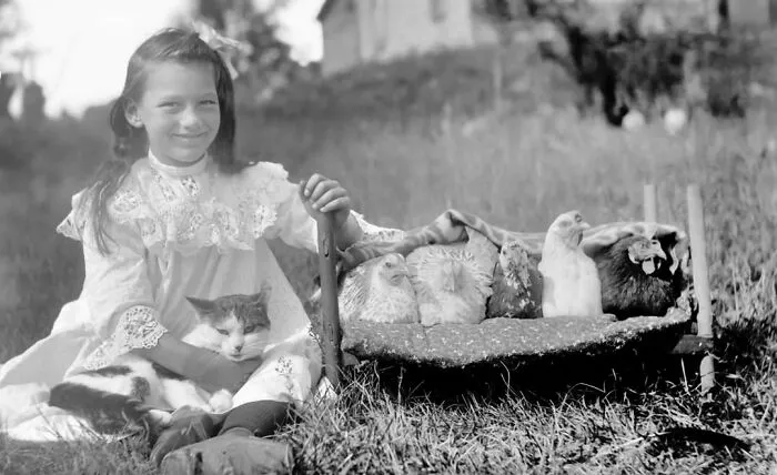 A girl sitting on the grass holding her cat next to a small bed with chickens, in vintage photos of children with their cats