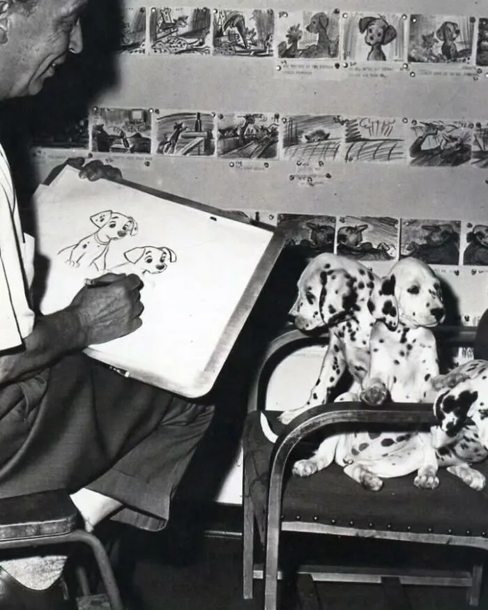 A black and white photo of an artist sketching dalmatians, showcasing sweet dog and cat photos