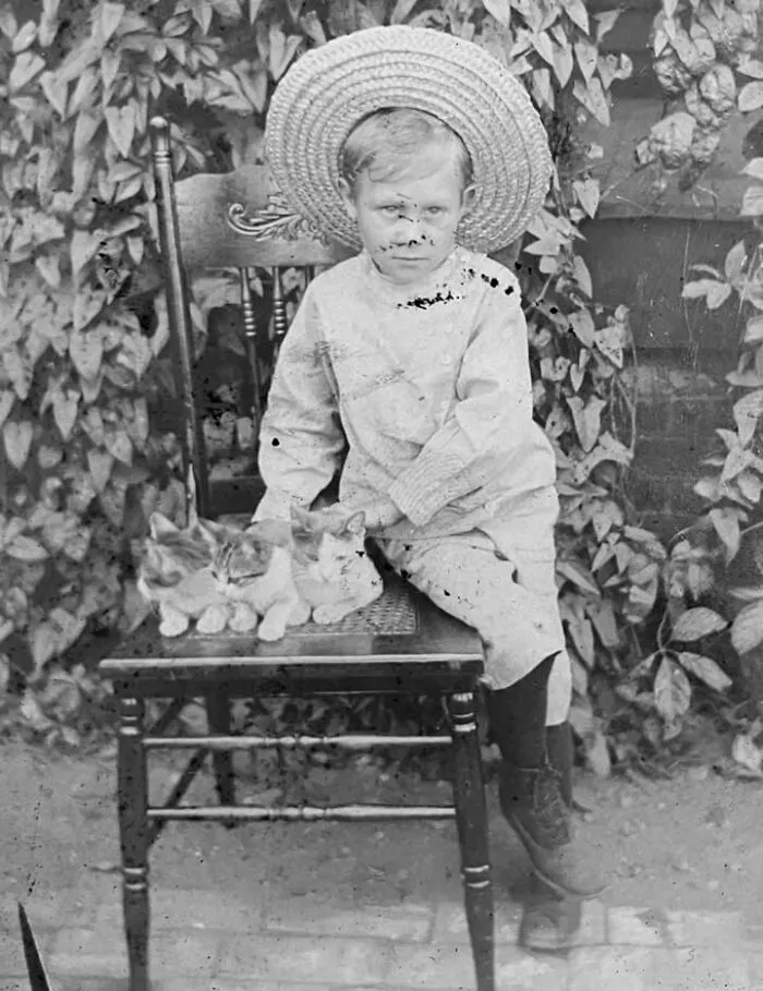 Vintage photo of a young boy wearing a straw hat sitting on a chair next to three small cats.