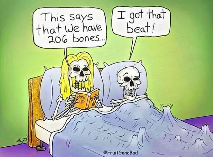 Funny naughty skeleton comic featuring a bone joke in bed.