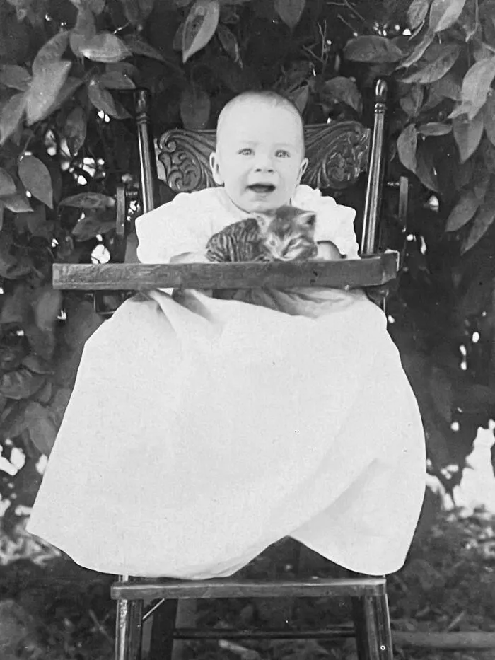Baby in high chair holding a kitten, from a collection of vintage photos of children with their cats
