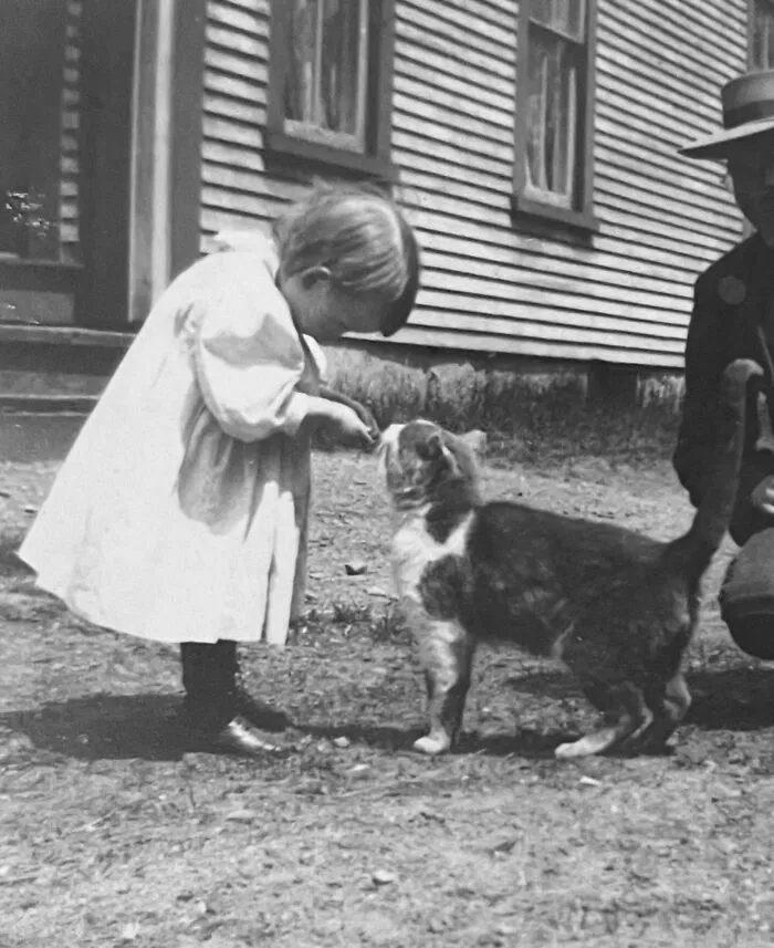 Toddler in a white dress feeding a cat outdoors, from vintage photos of children with their cats