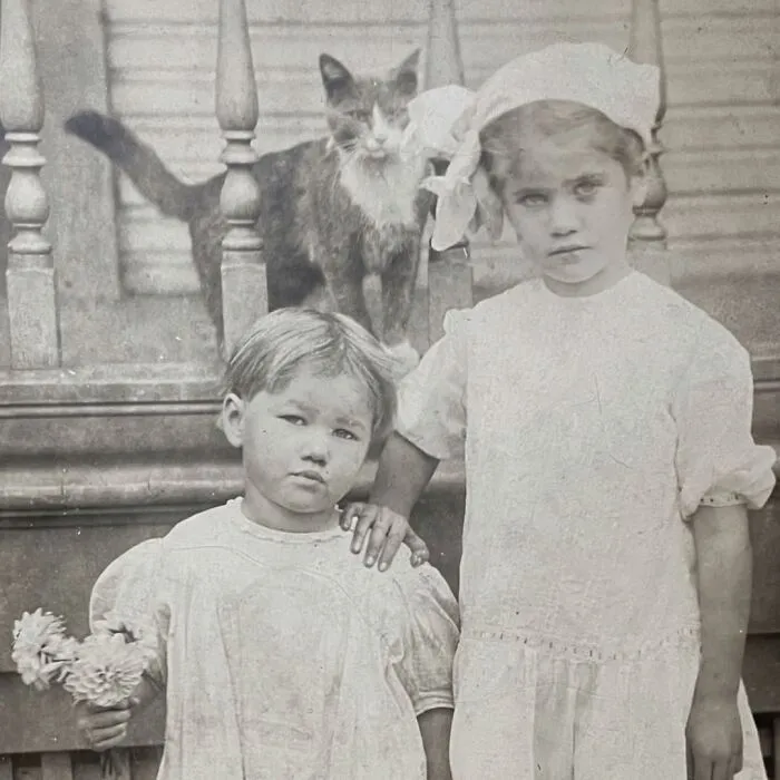 A historic vintage photo of two young girls standing on a porch with a cat