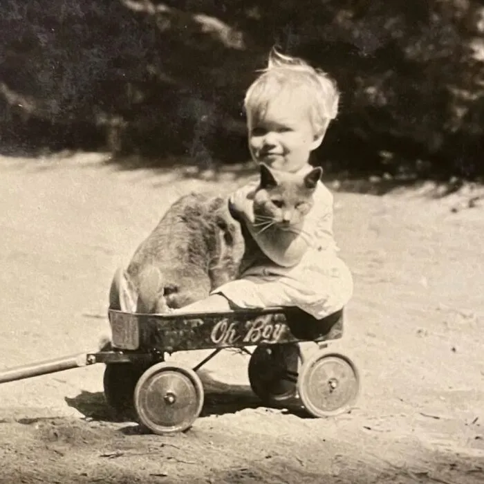 An old vintage photo of a toddler sitting in a toy wagon holding a cat