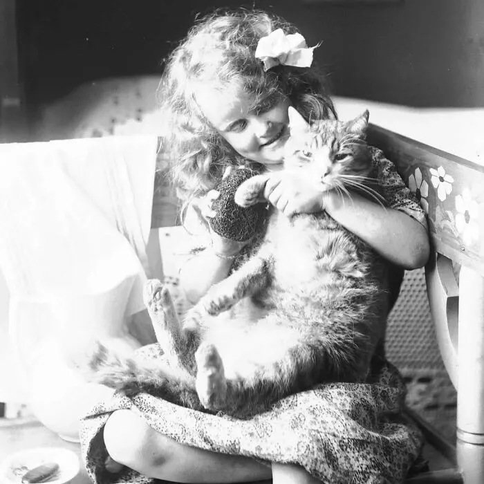A charming vintage photo of a smiling curly-haired girl hugging her fluffy cat