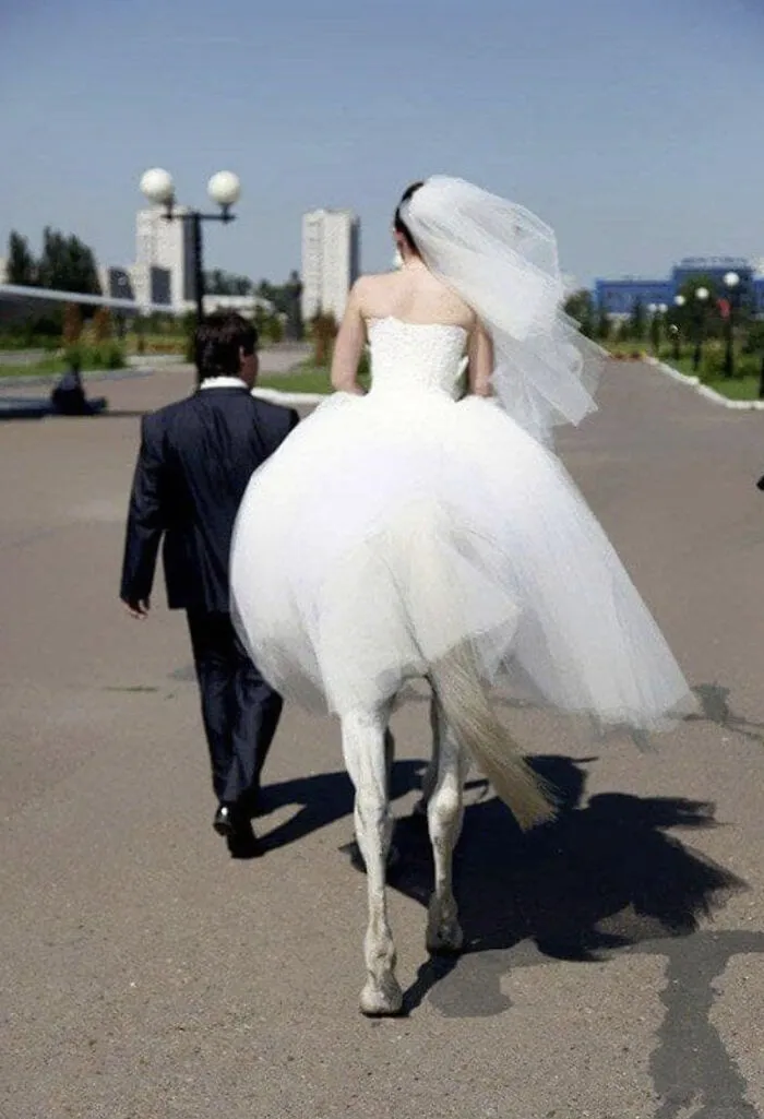 A perfectly confusing photo showing optical illusion of a bride walking where her dress lines up with a white horse