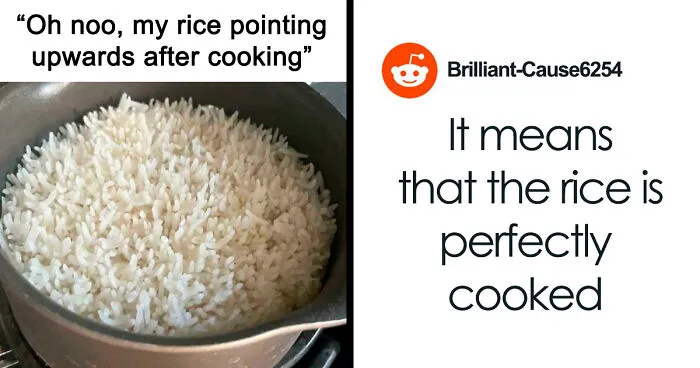 53 Times The Internet Broke Down Complex Memes And Posts So That Everyone Could Understand (New Pics)