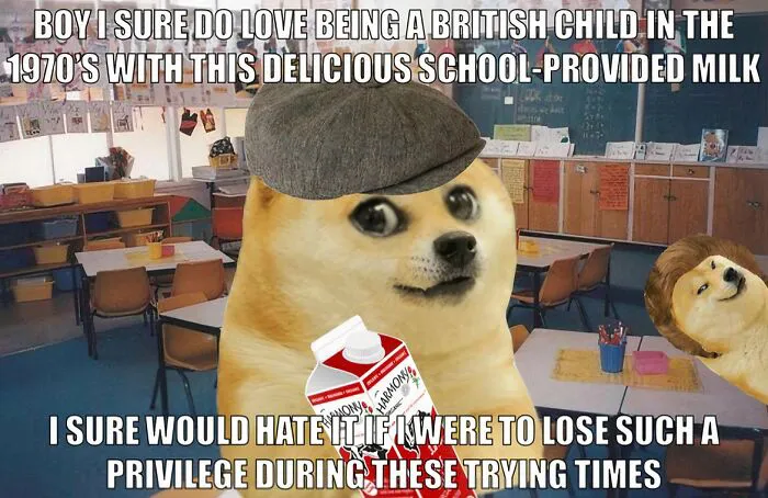 British Memes showing doge with a flat cap and milk carton in a 1970s classroom setting