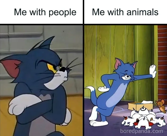Wholesome memes split image featuring Tom the cat angry at people versus happy watching puppies.