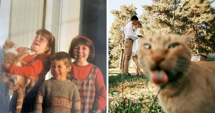 “Awkward Family Photos” Shared 39 Hilarious Family Pictures In Which Cats Stole The Spotlight