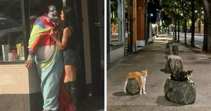 78 Random Photos That Are So Weird And Funny They Deserve A Second Look