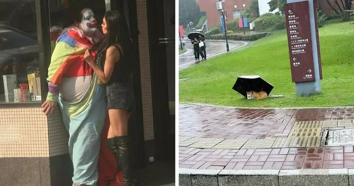 78 Photos Of Real-Life Moments That Seem Too Strange To Be True