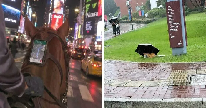 78 Photos Of Real-Life Moments That Seem Too Strange To Be True