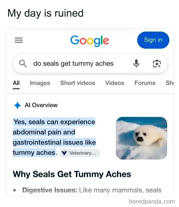 Funny weird animal meme showing a Google search asking if seals get tummy aches and AI confirming it.
