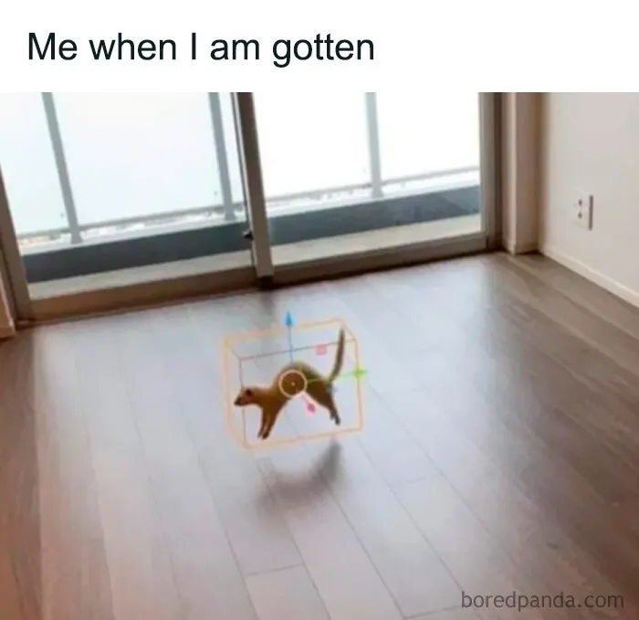 Funny weird animal memes post showing a ferret floating in a 3D bounding box over wooden flooring.