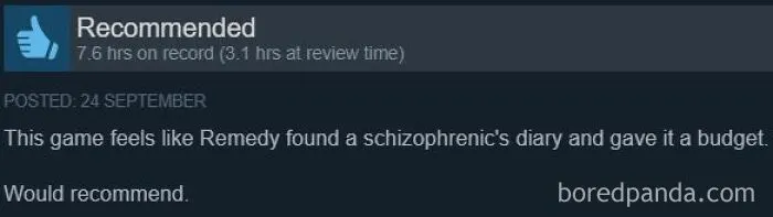 Funny Steam review comparing a video game to Remedy finding a diary with a budget.