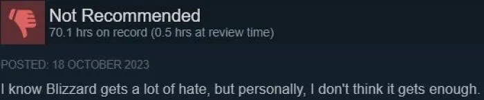 Entertaining Steam review expressing a humorous opinion about Blizzard