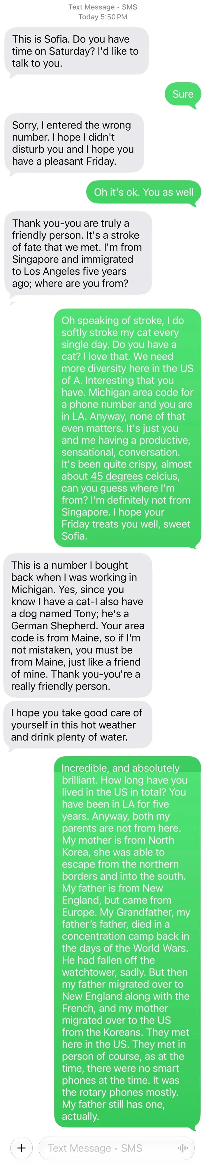 Screenshot of an unusually long and detailed wrong number text conversation involving a backstory response.