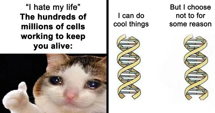 Brainy Biology Memes For Those Who Love A Little Dose Of Science Daily (67 Posts)