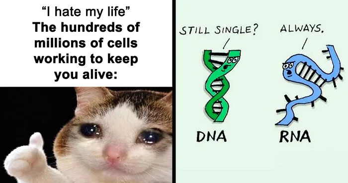 Brainy Biology Memes For Those Who Love A Little Dose Of Science Daily (67 Posts)