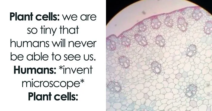 Brainy Biology Memes For Those Who Love A Little Dose Of Science Daily (67 Posts)
