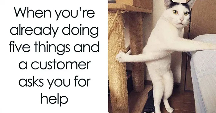 43 Hilarious Cat Memes Shared By This Page For Anyone Who Can't Get Enough Of These Troublemakers