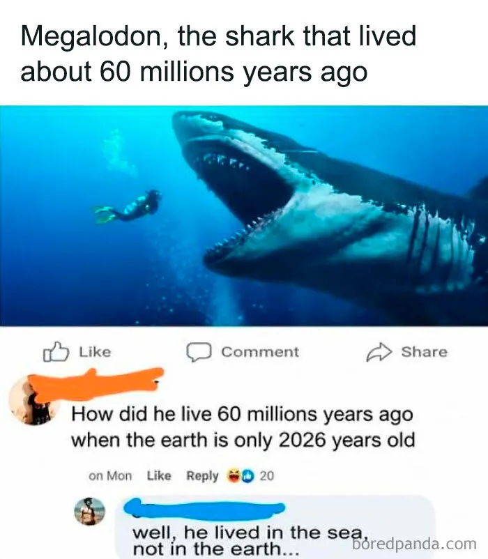 A social media post where someone is confidently wrong about the age of the Earth and the Megalodon.
