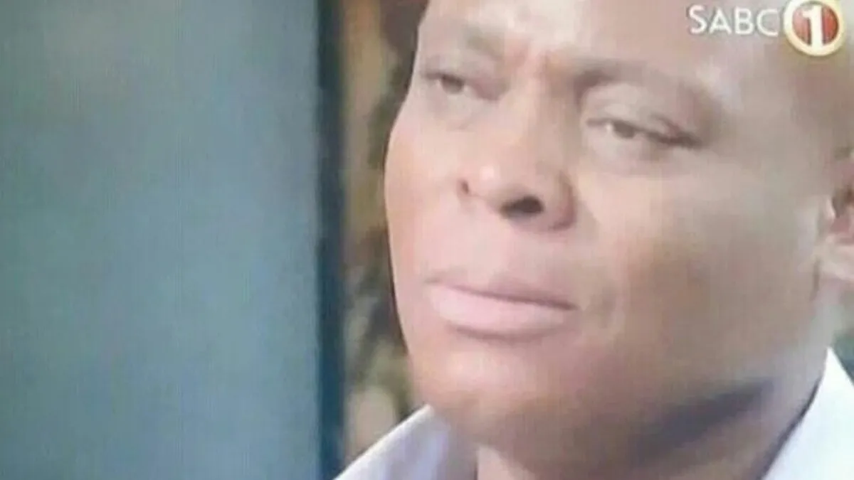63 Times People Tried To Pass Off A Silly Lie As The Truth, Only To Get Found Out