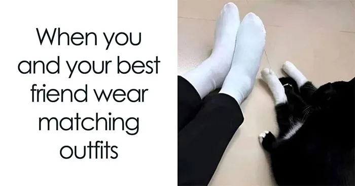 This Page Shared 30 Funny Posts That Prove Cats Will Never Stop Doing The Weirdest Things