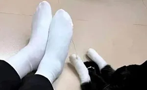 This Page Shared 30 Funny Posts That Prove Cats Will Never Stop Doing The Weirdest Things