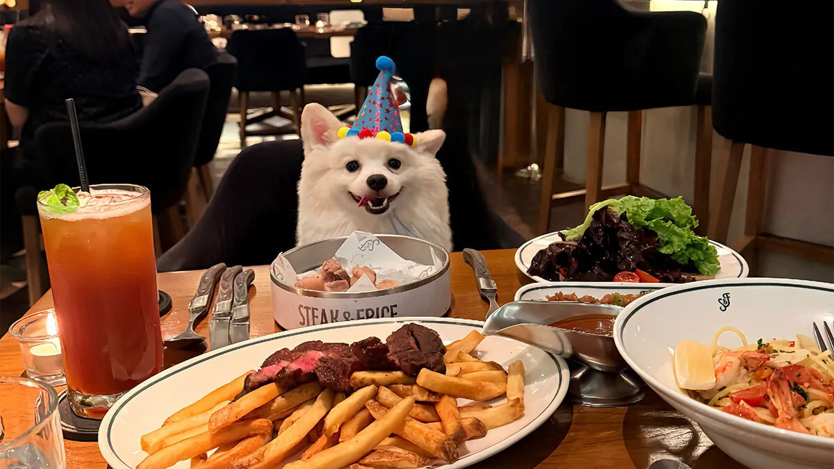 35 Pics Of Pets Living Their Best Lives, Shared By Their Humans On Threads