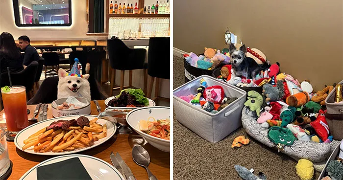 35 Pics Of Pets Living Their Best Lives, Shared By Their Humans On Threads
