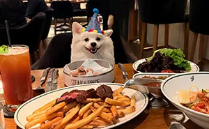 35 Pics Of Pets Living Their Best Lives, Shared By Their Humans On Threads