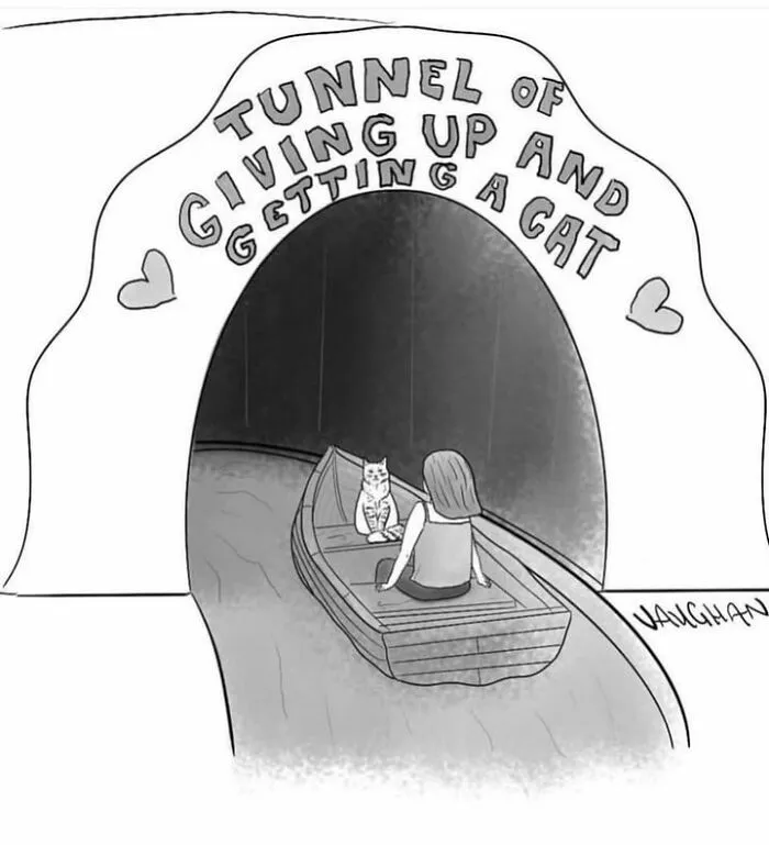 Cartoon of girl and cat in boat entering tunnel of giving up and getting a cat for comedy comics