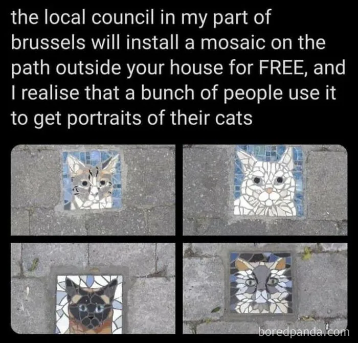 Wholesome memes screenshot showing four cat mosaic tiles installed on a sidewalk in Brussels.