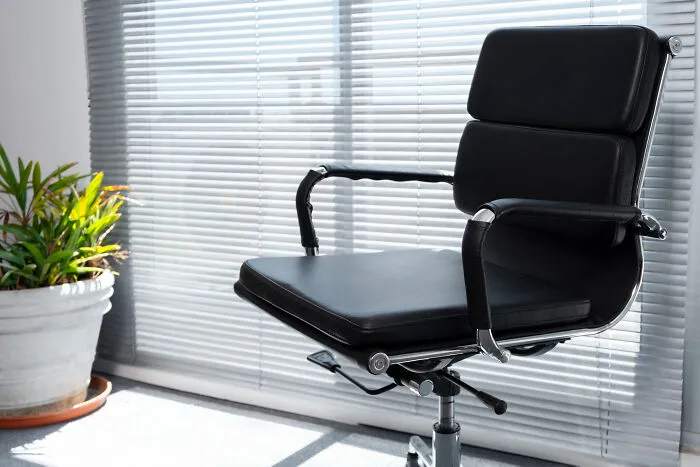 Modern black leather office chair next to window and plant as dumpster finds