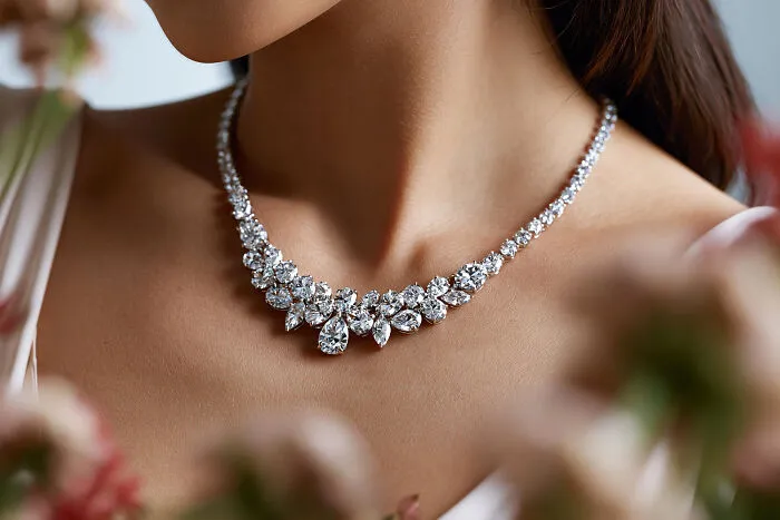 Woman wearing elegant diamond necklace, a rare treasure from dumpster finds.