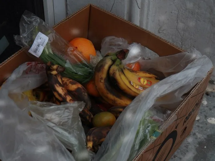 Cardboard box filled with discarded fruit and produce from dumpster finds