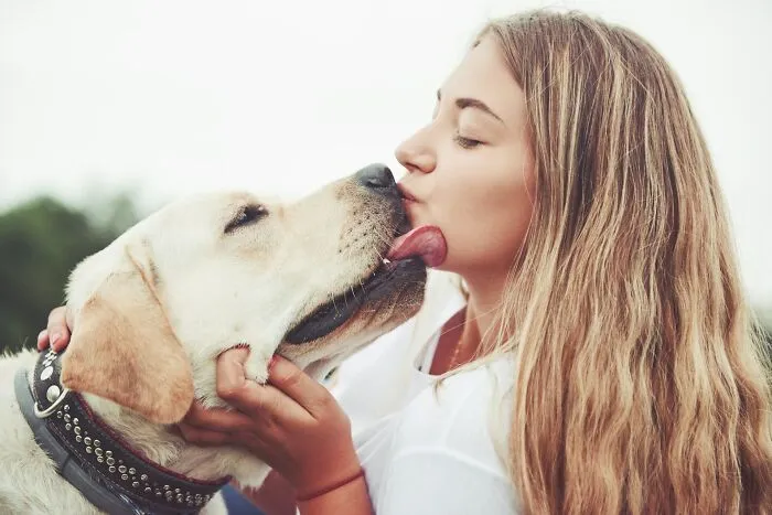 A blonde woman sharing stories as her golden retriever licks her face outdoors.