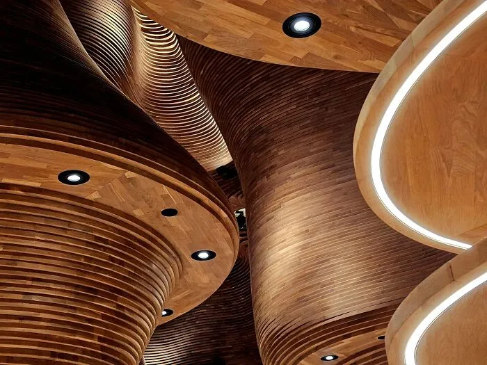 Swirling wooden interiors showing the hidden beauty of buildings and spaces
