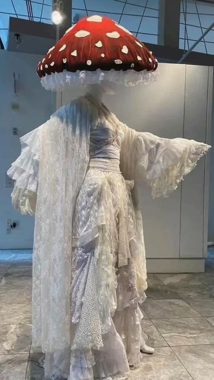 Extravagant white lace gown topped with a red toadstool mushroom hat, a creative Halloween costume idea