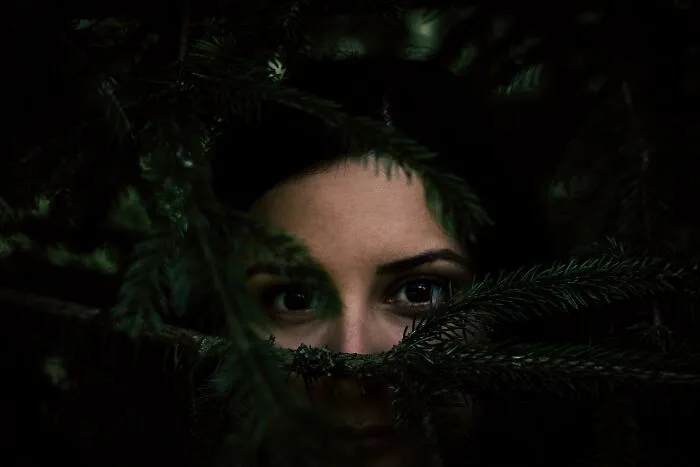 Person's eyes peeking through branches in a funny haunted house story scene