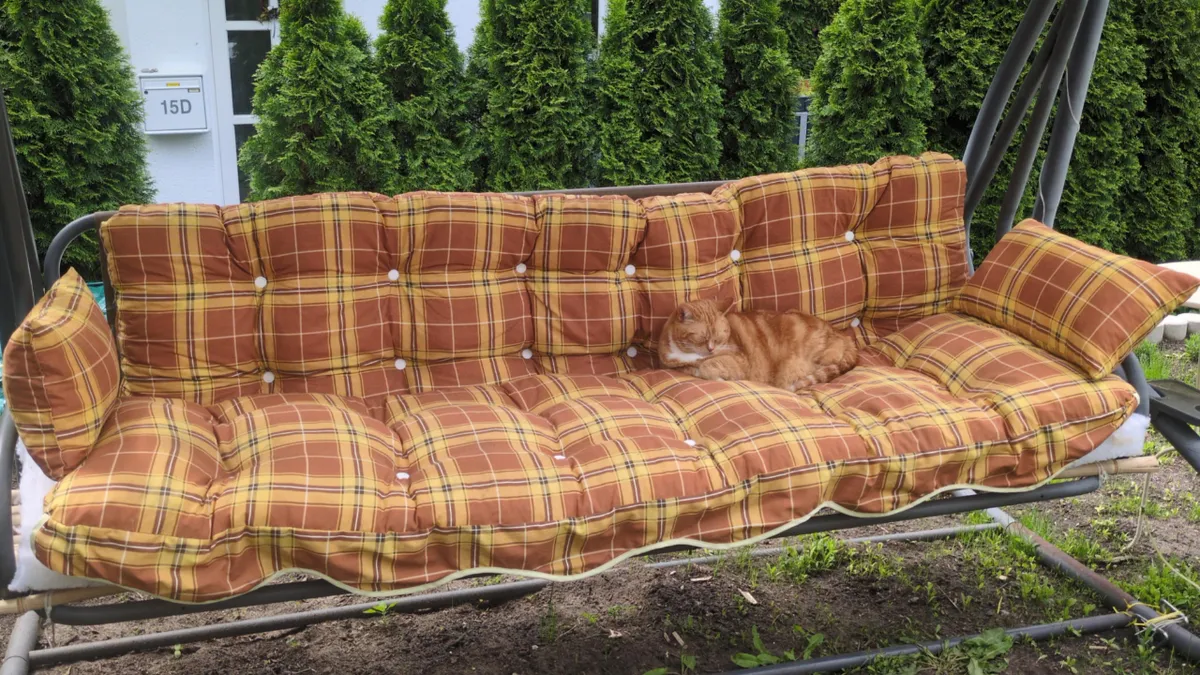 69 Accidental Camouflage Moments That Look Almost Too Perfect To Be Coincidence