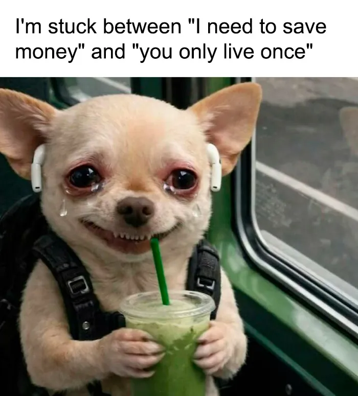 Crying dog with drink showing meme about saving money vs YOLO