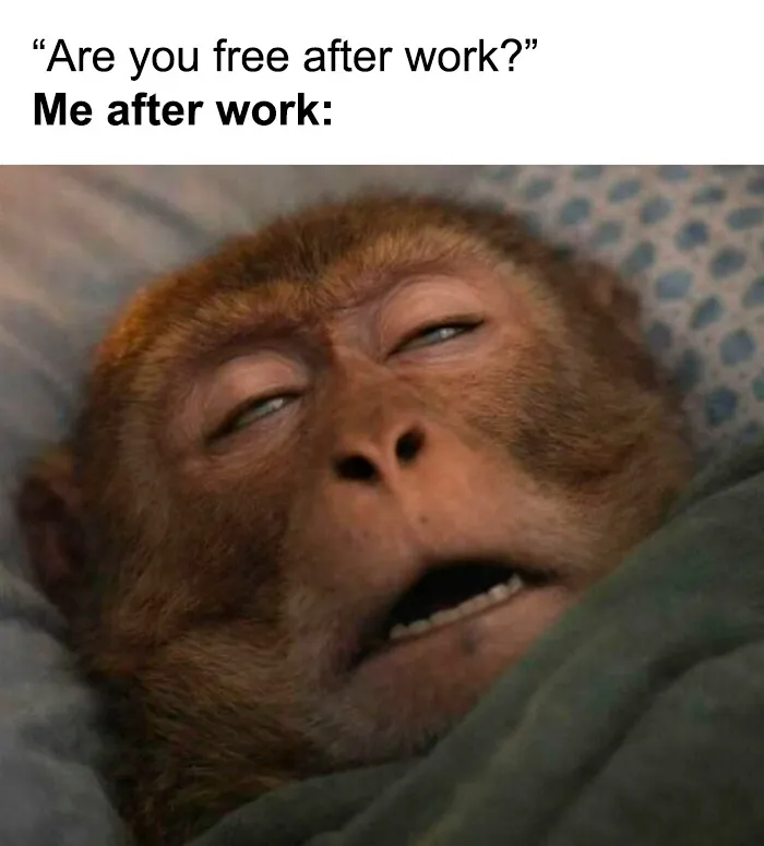 Tired monkey face expressing exhaustion after work meme