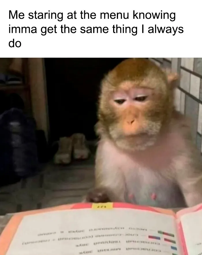 Monkey looking at menu meme about always ordering the same thing