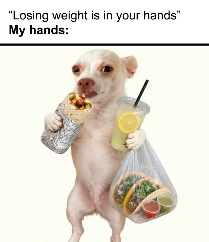 Dog holding burrito, tacos, and drink for losing weight meme