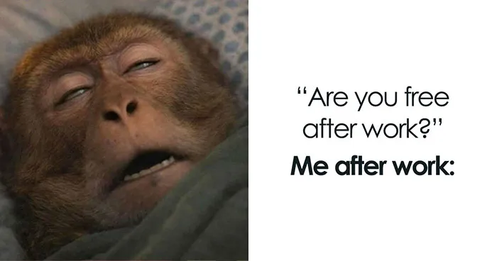 83 Memes That Find The Comedy In All The Mundane Nonsense We Deal With